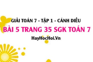 Giải bài 5 trang 35 Toán 7 Tập 1 SGK Cánh Diều